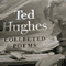 ted huges poem.