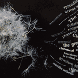 a year in the greenhouse.